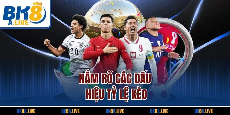 nam-ro-cac-dau-hieu-ty-le-keo