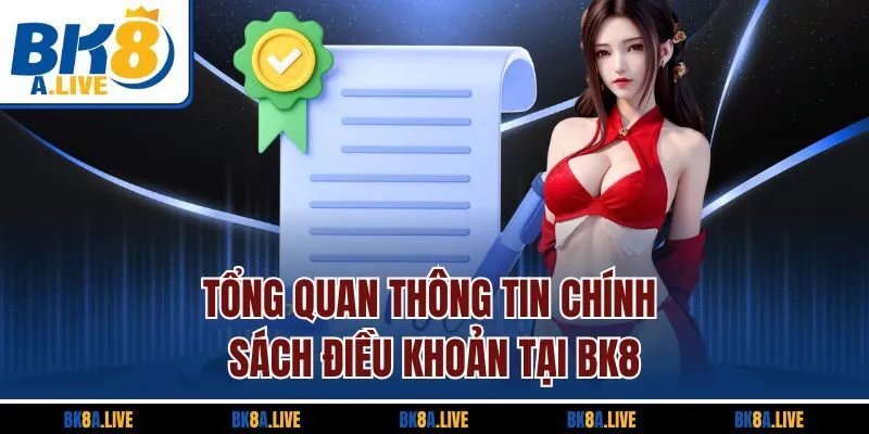 tong-quan-thong-tin-chinh-sach-dieu-khoan-tai-bk8